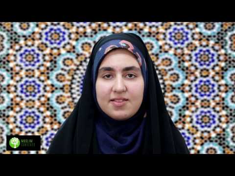 6.5 The gray areas of Islam and their relative moral standing in Islam (Summary)