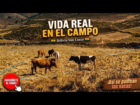 UN POCO DEL  CAMPO DE SAN LUCAS CHUQUISACA BOLIVIA 