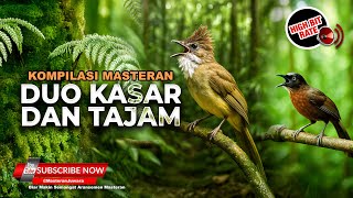 Download lagu 🔴 Masteran Kompilasi Tajam dan Kasar Cucak Jenggot Gacor Full Beset vs Tepus Kepala Abu Abu Gacor mp3 Download lagu 🔴 Masteran Kompilasi Tajam dan Kasar Cucak Jenggot Gacor Full Beset vs Tepus Kepala Abu Abu Gacor mp3