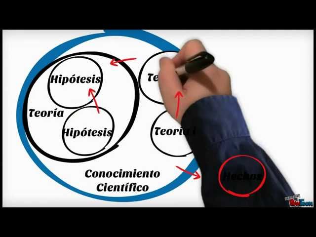 Vídeo relacionado con Relación Entre La Sociología Y La Filosofía (Ensayo)