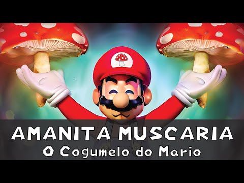 AMANITA MUSCARIA: Tudo sobre o Cogumelo do Mario [+16]