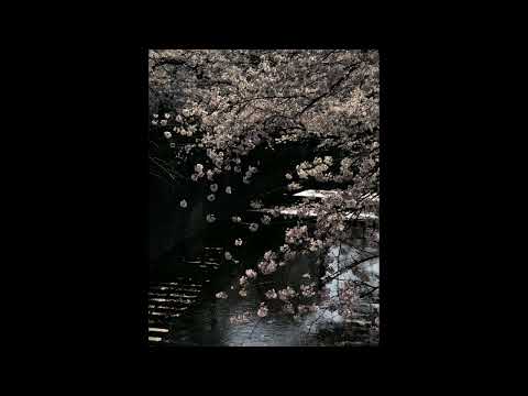 [FREE] h jeunecrack + 8ruki type beat - "rec" (p. 6minaprès + jeunesewy )