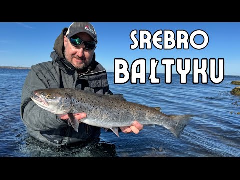 SEA TROUT and the silver island of the BALTIC / episode 211