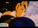 Vegeta S Warm Safe Place