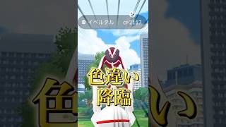 【ポケモンGO】イベルタルとゼルネアスのレイドをやってく！