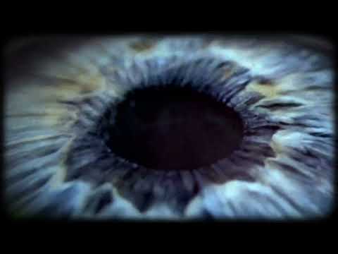 TIMELESS but it sounds heavenly (OVERLAPPED + REVERBED + BASS BOOSTED + SLOWED)