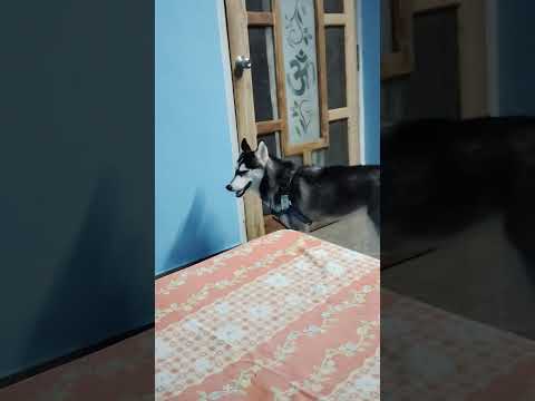 tada..... open the door 🚪