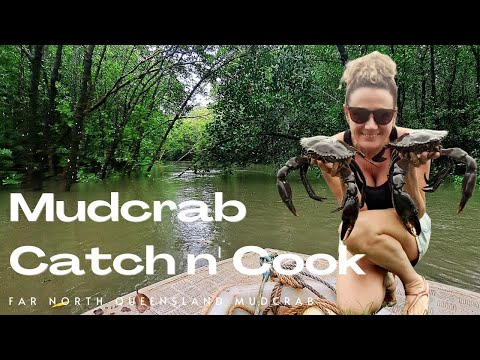 FAMILY - Crabbing Before Sunrise: Mudcrab Catch & Cook - Far North Queensland