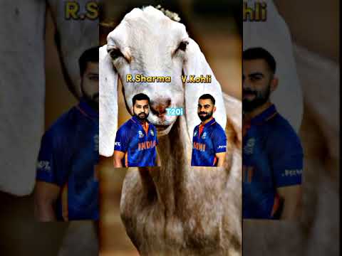 Rohit Sharma vs Virat Kohli T20i Comparison