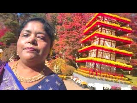 Sumitra Takita is live জাপানে ফুলের পুতুল । Japanese Doll made flowers| Beautiful Garden Japan 2025