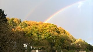 What on Earth am I Here For?