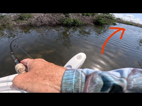 Found HIDDEN! House Boat Hideout | UNDERWATER VIDEO of Snook Habitat