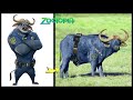 If Zootopia 2016 Were In Real Life