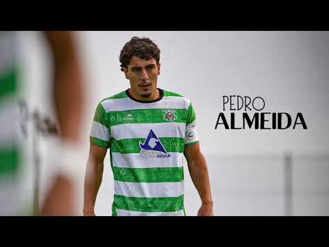 Pedro Almeida Highlights