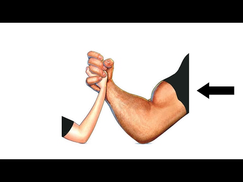 American Sign Language ASL Video Dictionary - might