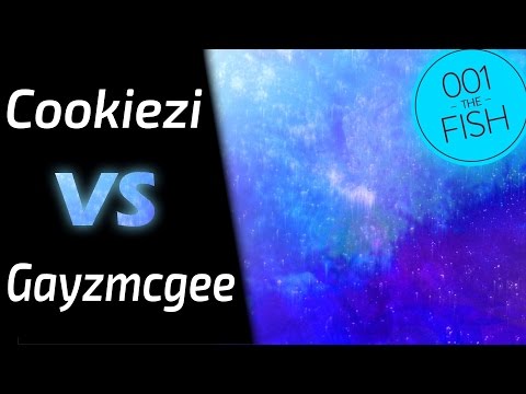 Cookiezi vs Gayzmcgee! // SHK - Identity Part 4 (AngelHoney) [Insane]