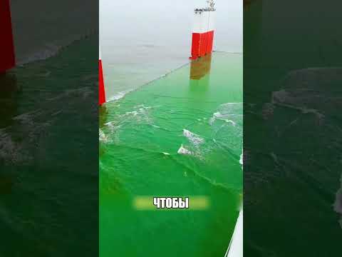 Судно заливают водой НЕ случайно 😲🌊🏗
