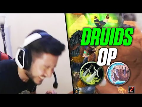 Playing with a Good Druid is OP in Arena | Burning Crusade Classic