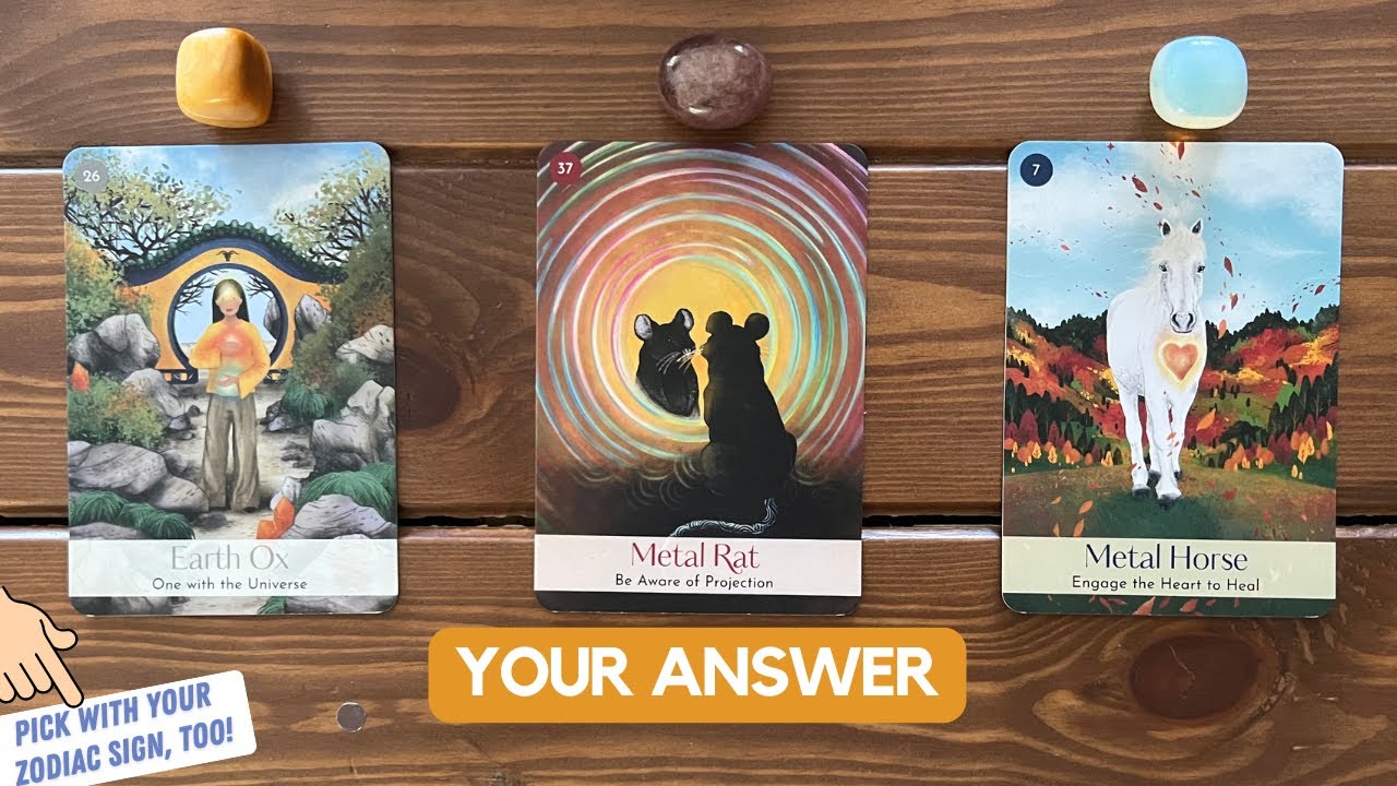 Spirit Answers Your Question! | Timeless Reading