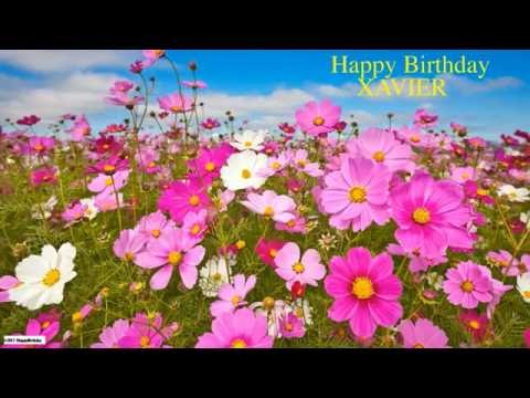 XavierZsound Xavier like Zavier  Nature & Naturaleza - Happy Birthday