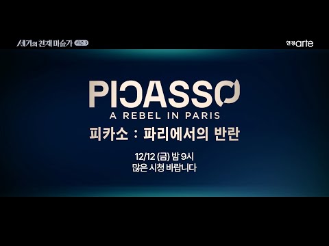 (D) 피카소: 파리에서의 반란