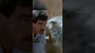 This man stole the ostrich&#39;s egg #shorts