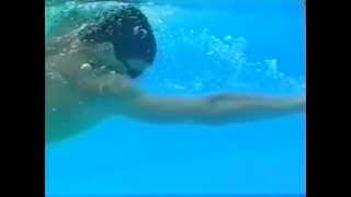Урок техники плавания кролем - Видео онлайн