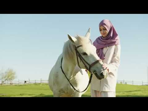 Música divina que penetra hasta lo más profundo de mi alma   100 Grandes Exitos Instrumentales 1080p