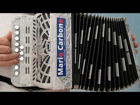 2 e 4 Bassi - LAURETTA MIA - brano - Accordion diatonic -  organetto