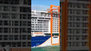 🚢😱CELEBRITY BEYOND 🔥#trending