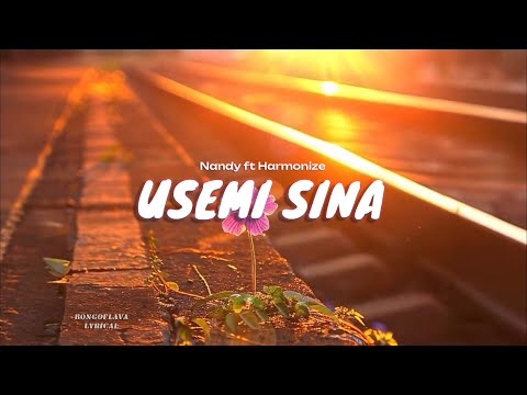 Nandy Ft Harmonize - USEMI SINA Lyrics Visualiser