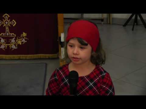 Eliza Melean - Ce folos? (poezie)