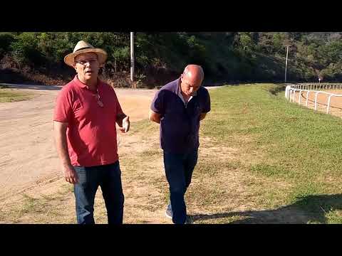 Treinamento de cavalos Puro Sangue Inglês (PSI)