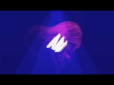 FVHM feat. Powerdress - Passionate