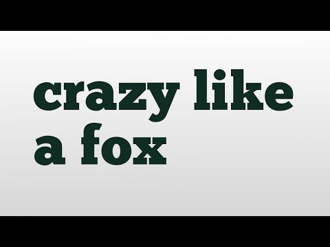crazy like a fox meaning and pronunciation