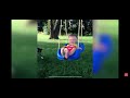 The Dog Hits A Baby While They Are Playing Swing