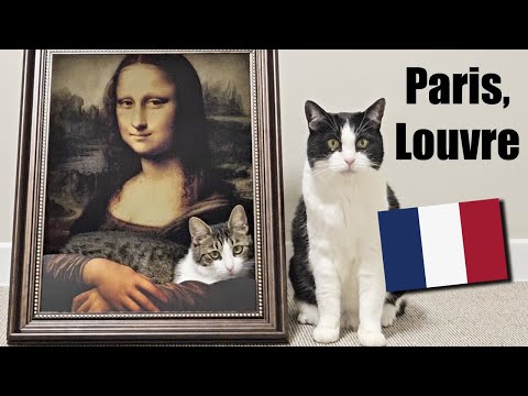Cats Visit Louvre Museum To See Mona Lisa !!