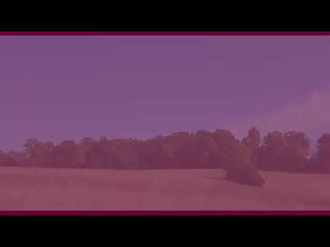 6 Hayes Ridge Rd Indian Mound, TN 37079