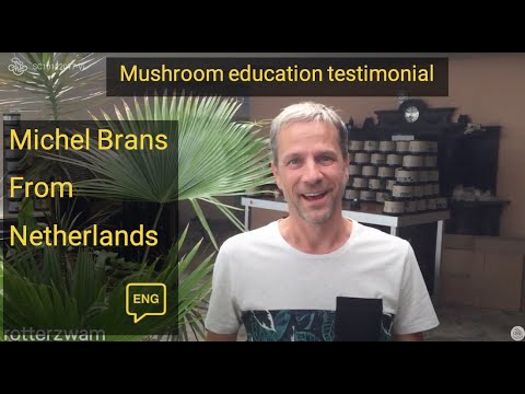 download lagu mp3 mp4 Michelle Brans, download lagu Michelle Brans gratis, unduh video klip Michelle Brans