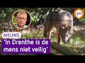 Gelderland heeft haast met wolf