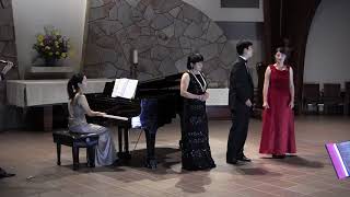 14 - The Merry Widow Waltz