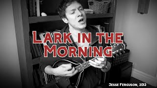 The Lark in the Morning