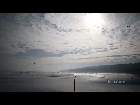 Playa Llico Vichuquén Maule Chile 2 