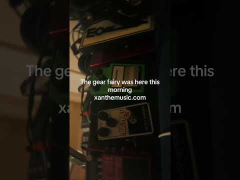 #guitarpedals #gear #guitargear #bosspedals #bigmuff #guitar #guitarmusic #guitarist #music