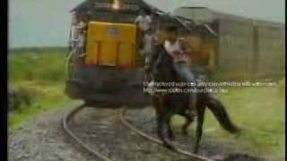 bronco   amigo bronco video