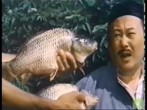 Duel Of The Dragon (1979) | Jackie Chen | Alex Tang Lec