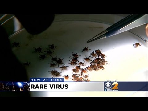 Ticks Found To Carry Virus Worse Than Lyme Disease
