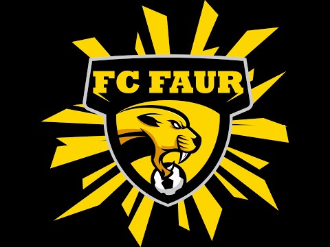 CN Divizia 3 FC Faur - FC Transylvania Union Etapa 19