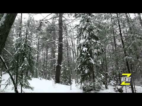 Znews - ideacity 2014: Rob Stewart