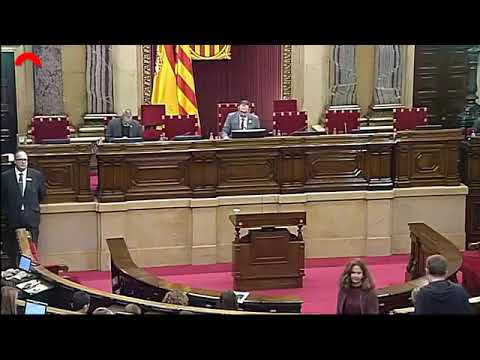 22-11-18 VIDAL ARAGONES (CUP):"Memòria i agraïment a les que ens van ensenyar com conquerir drets"